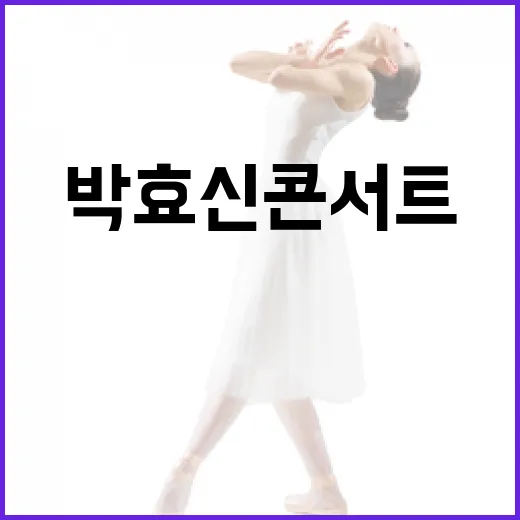 박효신 콘서트 즐기는 방법: 최고의 경험을 위한 팁 - 요약