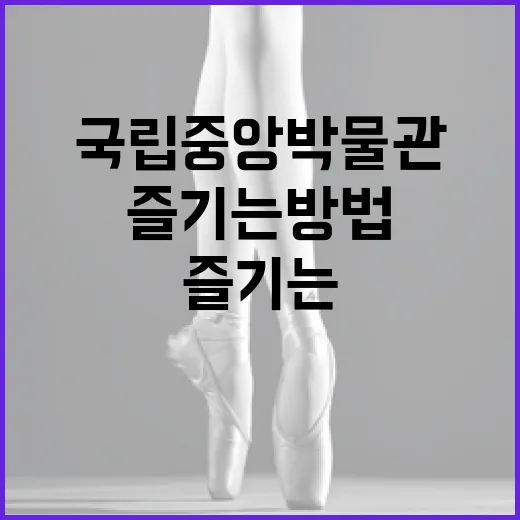 국립중앙박물관을 제대로 즐기는 방법 - 요약