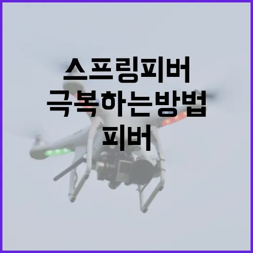 스프링피버를 극복하는 방법: 즐거운 봄을 위한 팁 - 요약