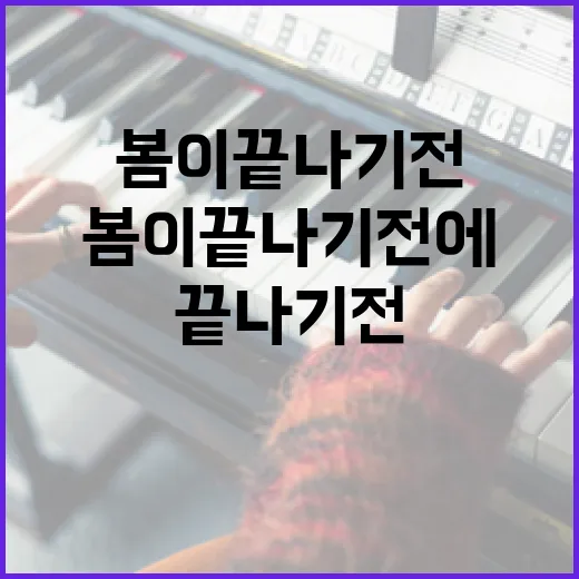봄이 끝나기 전에 즐길 수 있는 방법 - 요약