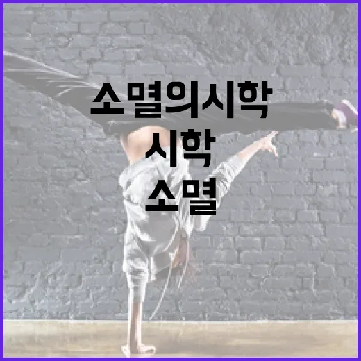 소멸의 시학을 이해하는 방법 - 요약