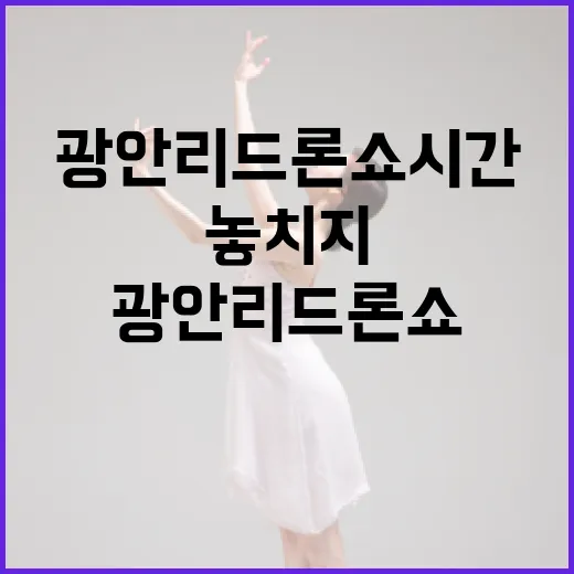 광안리 드론쇼 시간을 놓치지 않으려면 이렇게! - 요약