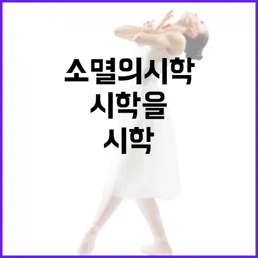 소멸의 시학을 이해하는 방법: 개념부터 적용까지 - 요약