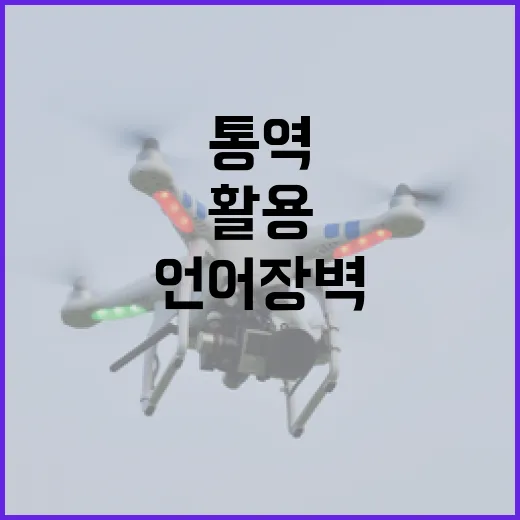 이사할 때 언어 장벽을 극복하는 방법: 통역 서비스 활용하기 - 요약