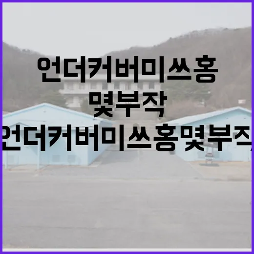 언더커버 미쓰홍 몇부작인지 알아보는 방법 - 요약