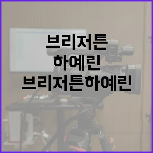 브리저튼 하예린에 대해 알아보는 방법 - 요약