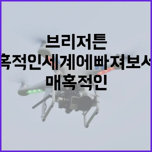 브리저튼을 즐기는 방법: 매혹적인 세계에 빠져보세요 - 요약