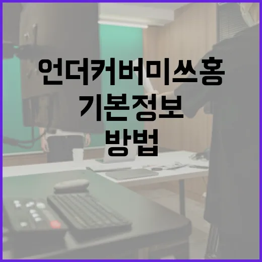 언더커버미쓰홍의 기본 정보를 알아보는 방법 - 요약