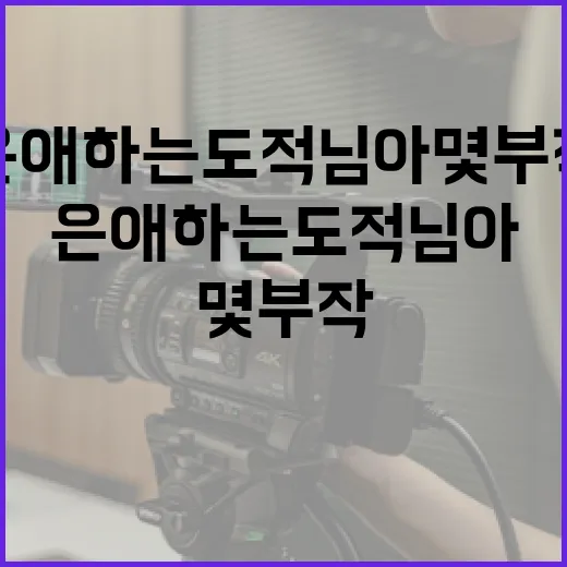 은애하는 도적님아 몇부작인지 알아보는 방법 - 요약