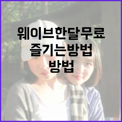 웨이브 한 달 무료로 즐기는 방법 - 요약