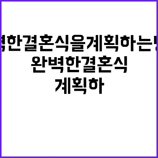 완벽한 결혼식을 계…