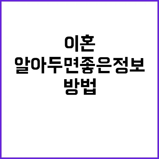 이혼을 준비하는 방…