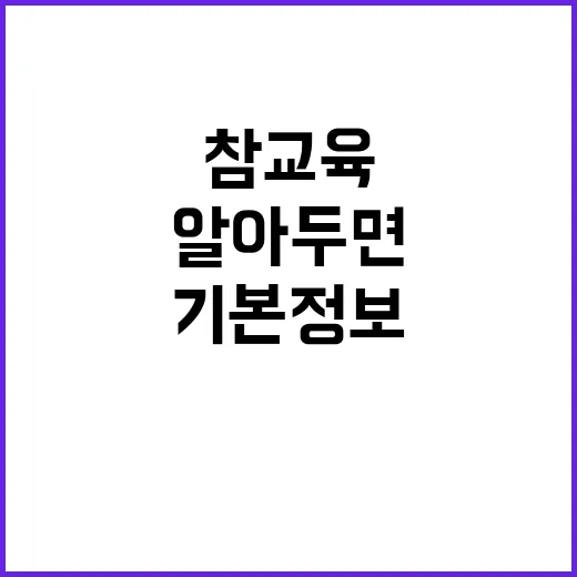 참교육의 기본정보와 알아두면 좋은 팁 - 요약