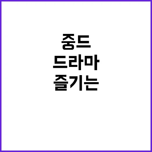 중드 막리: 매력적인 드라마를 즐기는 방법 - 요약