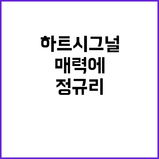하트시그널 정규리, 그 매력에 빠져보자! - 요약