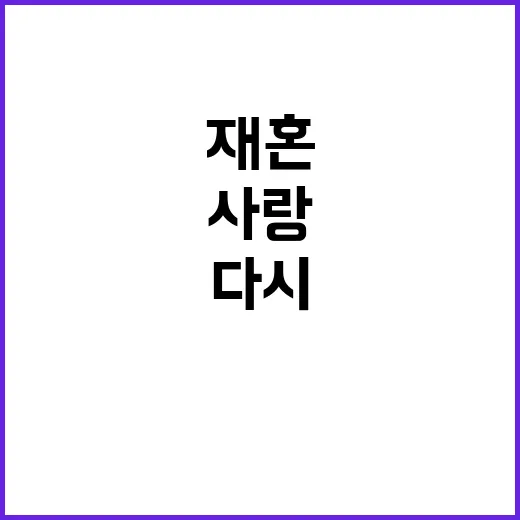 일라이 재혼: 그가 다시 사랑을 찾는 방법 - 요약