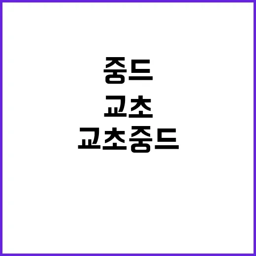교초 중드에 빠져드는 방법, 이렇게 시작하세요! - 요약