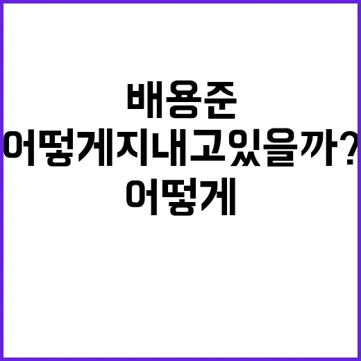 배용준의 현재 이야기: 요즘 어떻게 지내고 있을까? - 요약