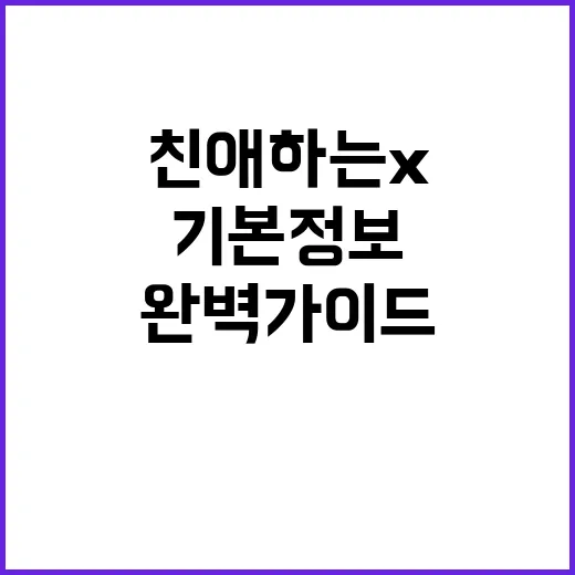 친애하는 X, 기본정보 완벽 가이드 - 요약