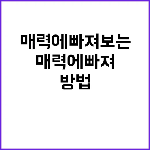 홍레나의 매력에 빠져보는 방법 - 요약