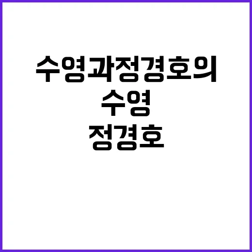 수영과 정경호의 매력 탐구: 그들의 특별한 이야기 - 요약