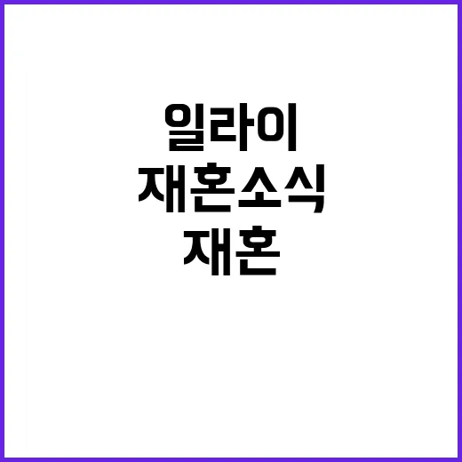 일라이의 재혼 소식, 우리가 알아야 할 것들 - 요약