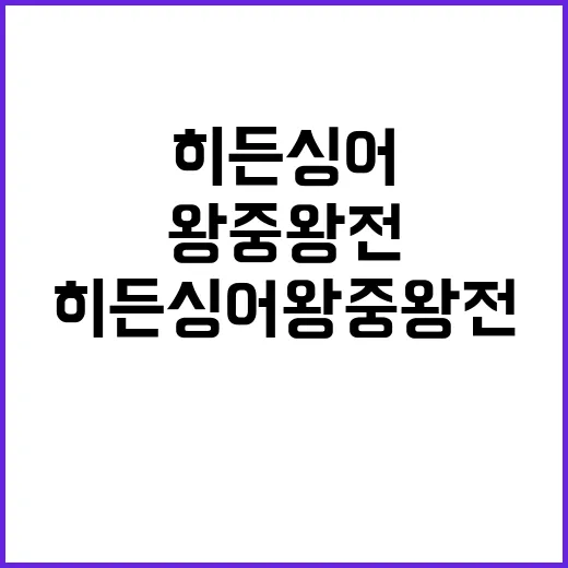 히든싱어 왕중왕전: 숨은 보석 찾기 - 요약