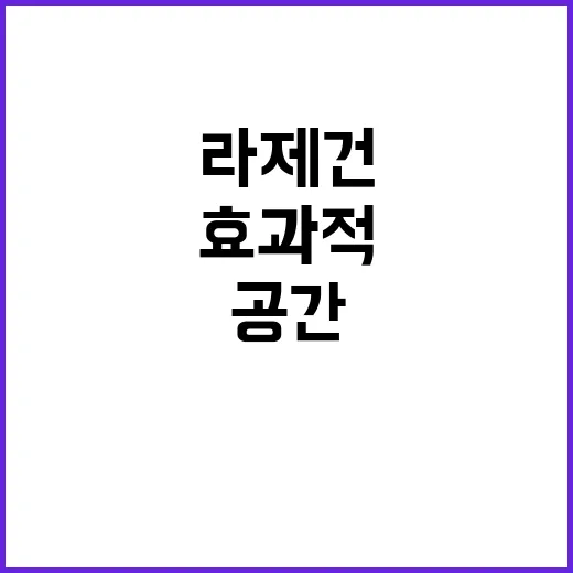 라제건을 활용하여 공간을 새롭게, 효과적으로 활용하는 방법 - 요약