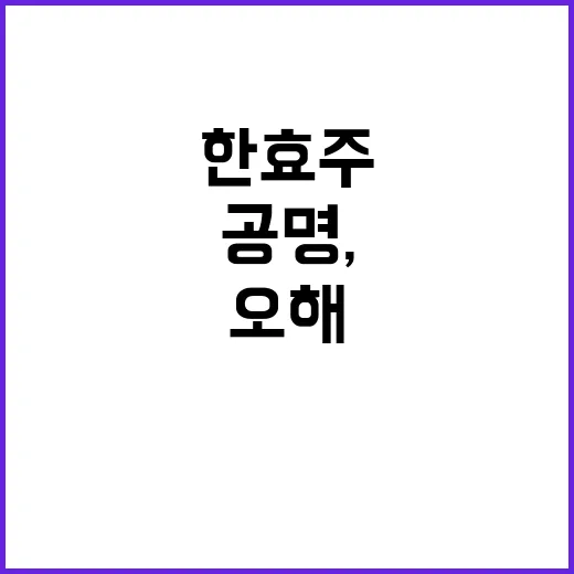 한효주와 공명, 그들의 열애설은 오해였을까? - 요약