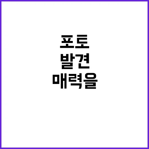 황상경 포토의 매력을 발견하는 방법 - 요약