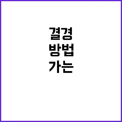 PRISTIN 결경을 알아가는 방법 - 요약