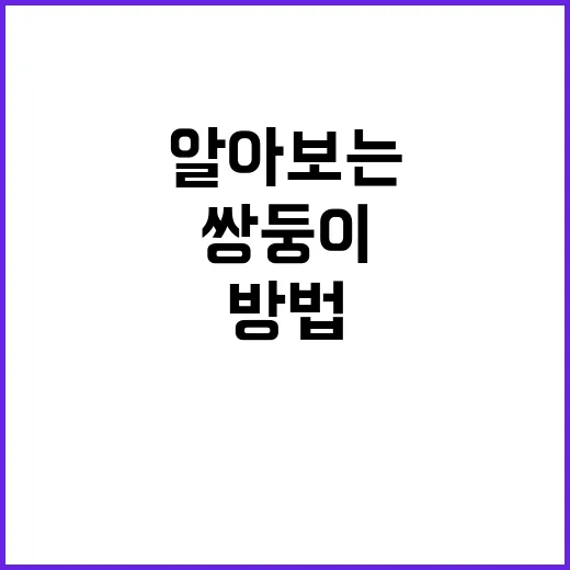 허남준 쌍둥이를 알아보는 방법과 그들의 매력 - 요약