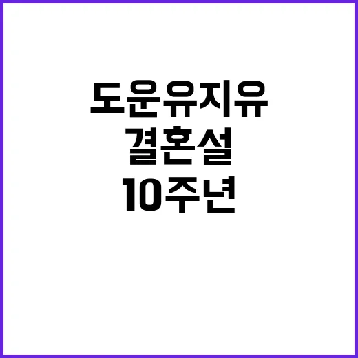 도운 유지유의 결혼설과 10주년, 그들의 특별한 이야기 - 요약