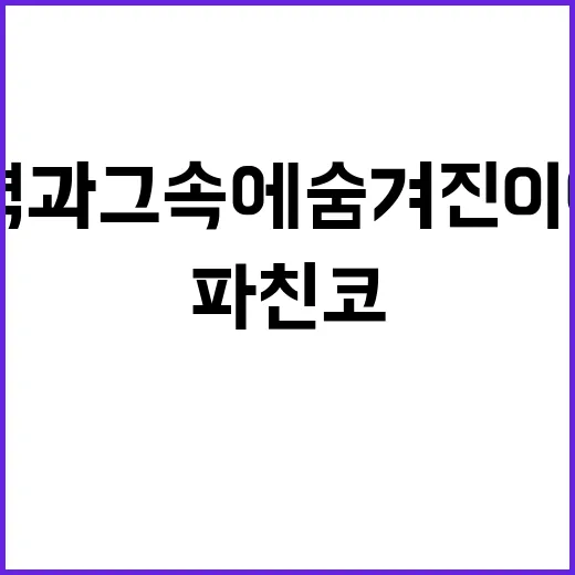 파친코의 매력과 그 속에 숨겨진 이야기 - 요약