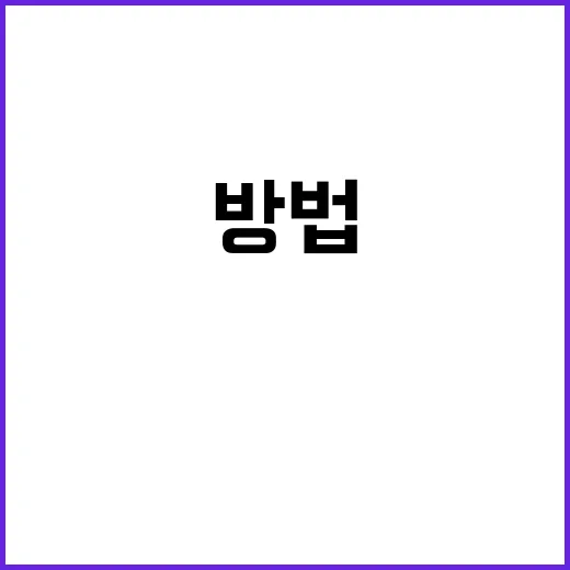 배미향을 제대로 즐기는 방법 - 요약