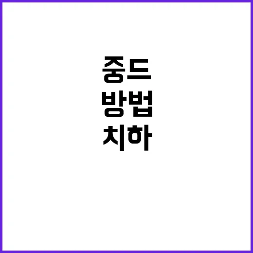 치하 중드를 즐기는 방법, 이렇게 해보세요! - 요약