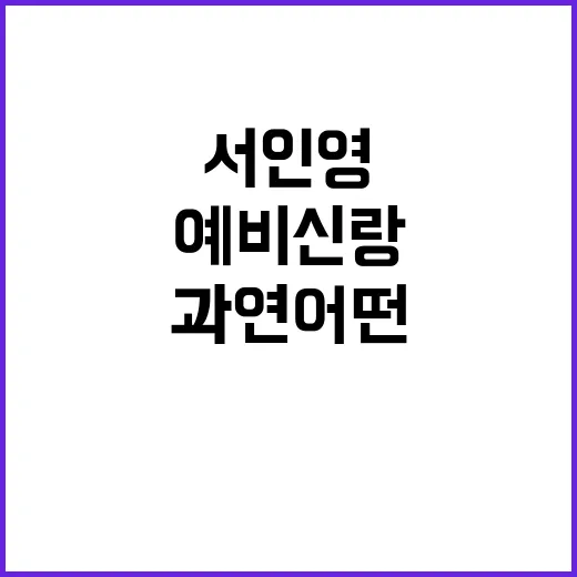 서인영의 예비신랑, 과연 어떤 사람일까? - 요약