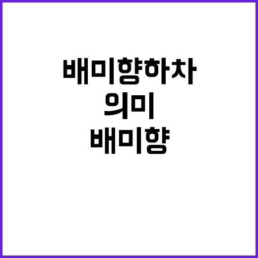 배미향 하차에 대한 이야기와 그 의미 - 요약