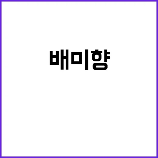 배미향을 제대로 이해하는 방법 - 요약