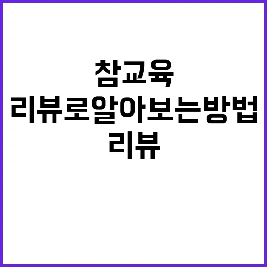 참교육, 정말 효과적인가? 리뷰로 알아보는 방법 - 요약