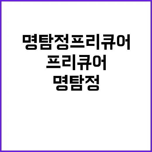 명탐정 프리큐어, 이렇게 즐길 수 있어요! - 요약