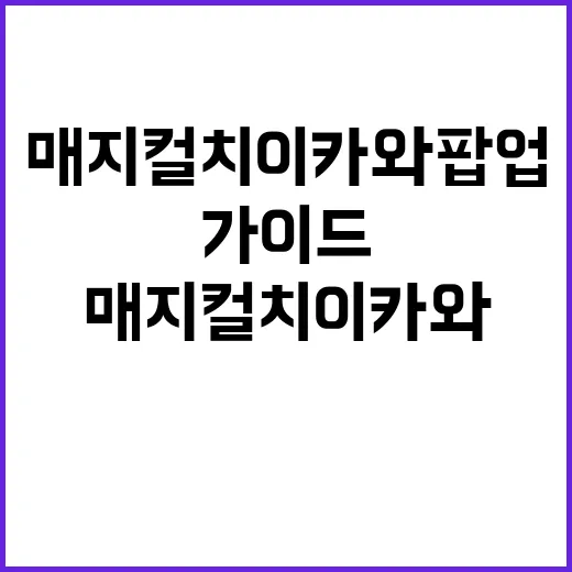 매지컬 치이카와 팝업: 색다른 경험을 위한 가이드 - 요약