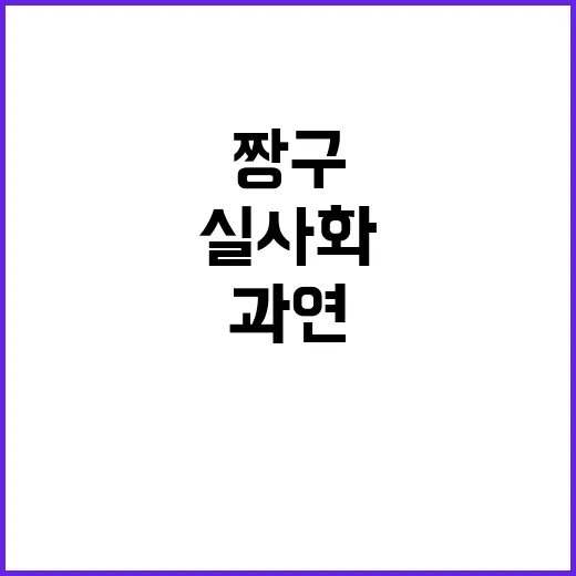 짱구 실사화, 과연 가능할까? - 요약