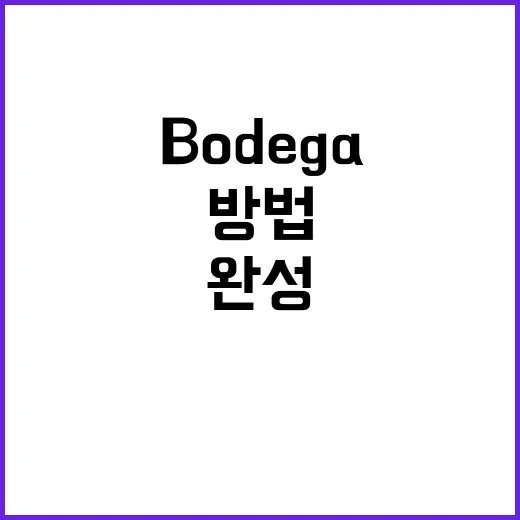 Bodega Baddie로 스타일 완성하는 방법 - 요약
