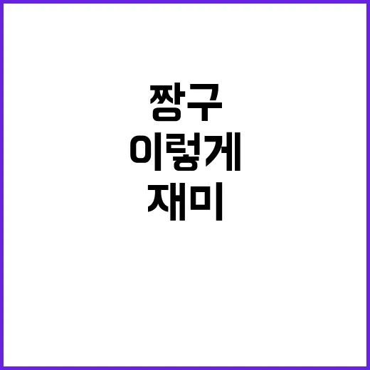 짱구 실사화, 이렇게 하면 더 재미있어질 거예요 - 요약
