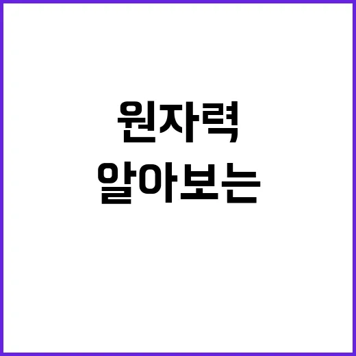 28기 경수로 알아보는 원자력 에너지의 매력 - 요약