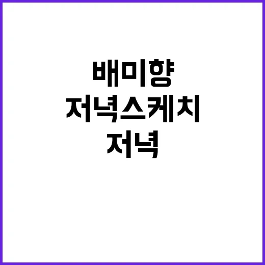 배미향의 저녁스케치로 느긋한 저녁 보내는 방법 - 요약