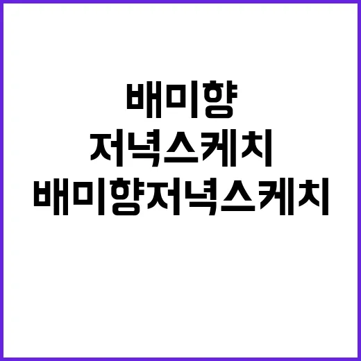 배미향 저녁스케치: 일상 속 작은 예술을 찾아서 - 요약