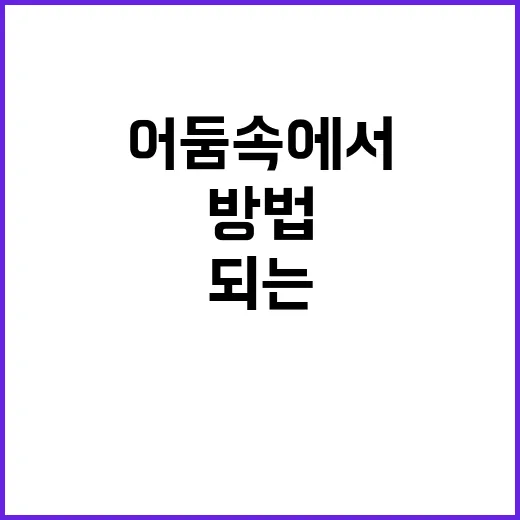 어둠 속에서 진정한 탐사자가 되는 방법 - 요약