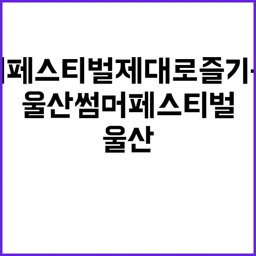 울산 썸머페스티벌 제대로 즐기는 법 - 요약